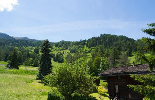 Bruson Chalet De Esquí | à la Maison des Cheneaux