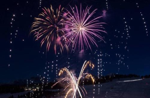 Notre-Dame-de-Bellecombe Apartamento | À Notre-Dame-de-Bellecombe: charmant appart 4-5 pers, terrasse sud, animaux OK - FR-1-505-56
