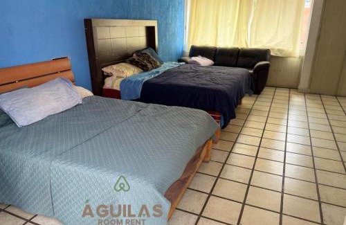 Alvaro Obregon Casa | Águilas Room Rent