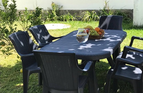 Arvore Casa | Árvore Cozy com Jardim