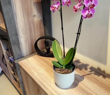 Arenas de Cabrales Apartamento | Ático el Cuetón