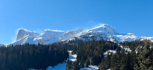 Saint-Etienne-en-Devoluy Apartamento | Évasion alpine à Superdévoluy au pied des pistes ski, luge 4 saisons, rando, 2 à 6 personnes