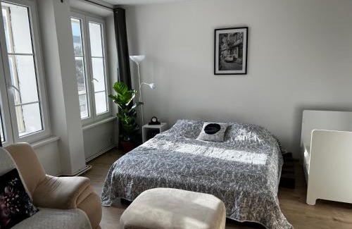 Pisek Apartamento | Útulný apartmán v historickém centru města Písek