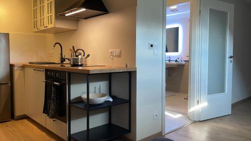 Zernovka Apartamento | Útulný podkrovní ateliér se zahradou