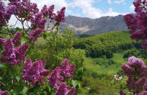 Republika Srpska Casa | Čemerno Cottage