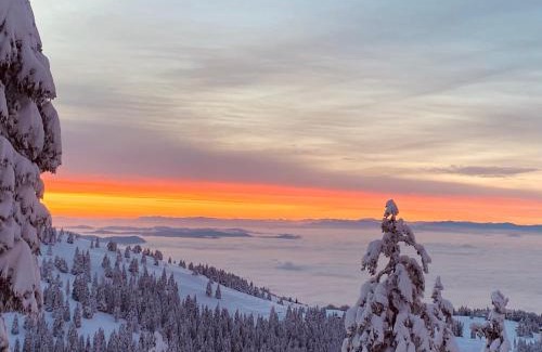 Ambroz pod Krvavcem Chalet De Esquí | Čudovita koča na samem, Gorenka
