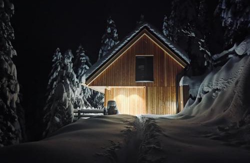 Ambroz pod Krvavcem Chalet De Esquí | Čudovita koča na samem, Gorenka
