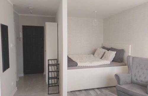 Inowroclaw Apartamento | Łokietka
