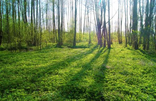 Monki Casa | Łosiowate Gospodarstwo Agroturystyczne
