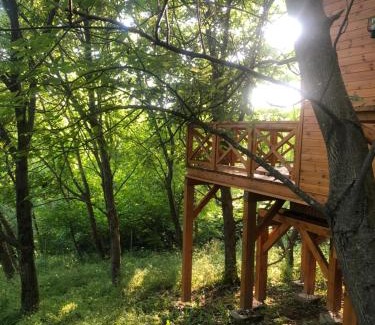 Zalaujlak Casa | Őzlak Lombház