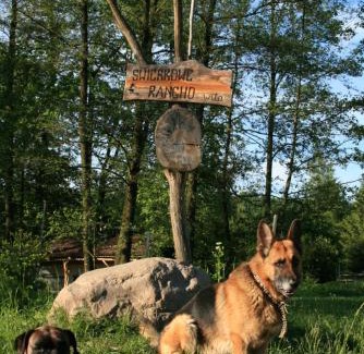 gmina Brzostek Casa | Świerkowe Rancho