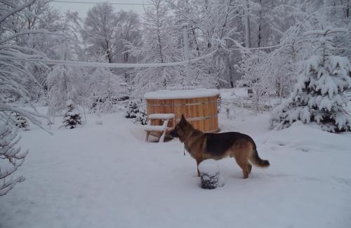 gmina Brzostek Casa | Świerkowe Rancho