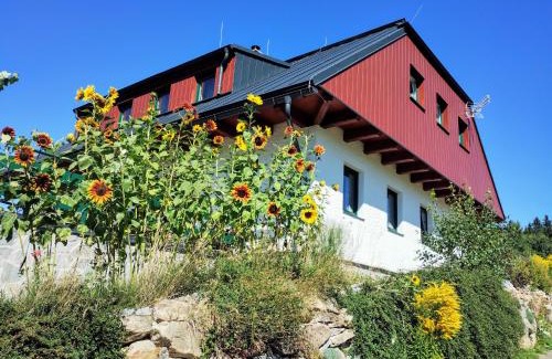 Stachy Apartamento | ŠUMAVSKÉ zaSTAVENÍ