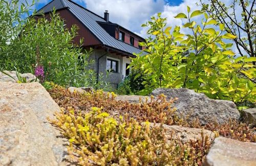 Stachy Apartamento | ŠUMAVSKÉ zaSTAVENÍ