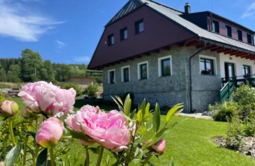 Stachy Apartamento | ŠUMAVSKÉ zaSTAVENÍ