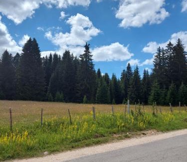 Zabljak Chalet De Esquí | Šumski raj