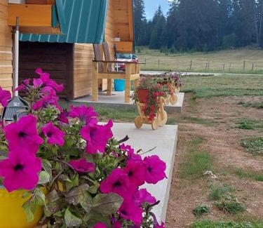 Zabljak Chalet De Esquí | Šumski raj