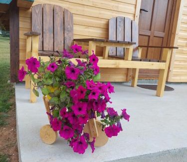 Zabljak Chalet De Esquí | Šumski raj