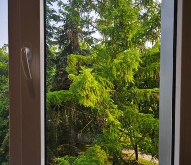 Klaipeda county Apartamento | Žemaičių 8