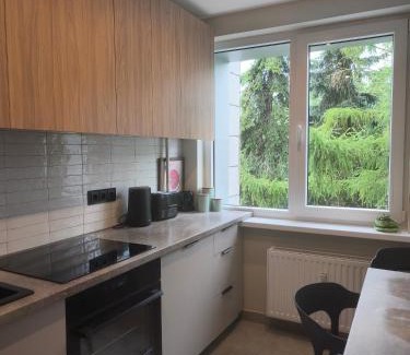 Klaipeda county Apartamento | Žemaičių 8