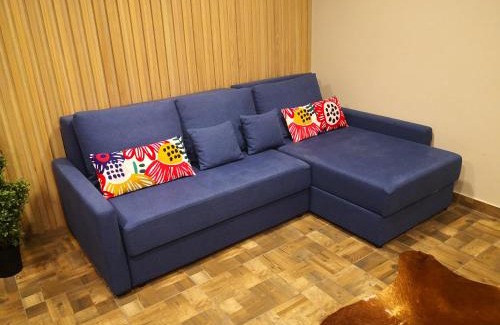 Birstonas Apartamento | Žvėrinčiaus vila