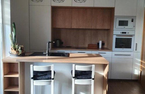 Vilnius city municipality Apartamento | Žvėrynas Workation apartments