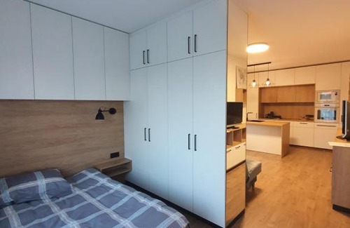 Vilnius city municipality Apartamento | Žvėrynas Workation apartments