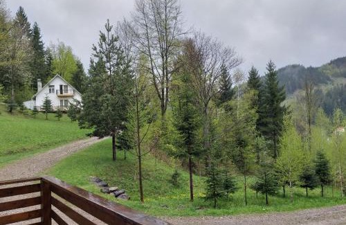 Sucevita Complejo | Șoaptele pădurii & Căsuța din pădure