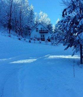 Sucevita Complejo | Șoaptele pădurii & Căsuța din pădure