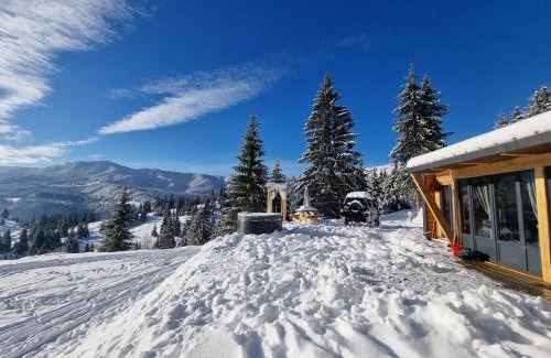 Colibita Cabina | Ținutul Lupilor