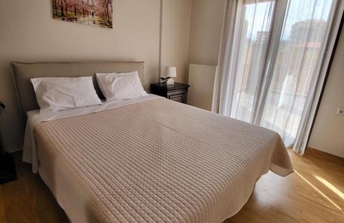 Karpenisi Apartamento | Αρτέμιδα plus Karpenisi Apartment