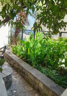 Milina Apartamento | Γοργονα