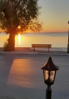 Milina Apartamento | Γοργονα