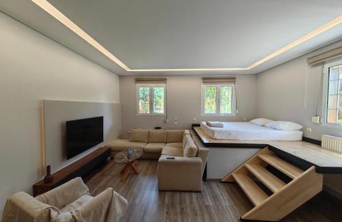 Karpenisi Apartamento | Εμμέλεια