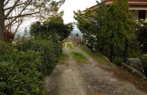 Mikani Apartamento | Παραδοσιακό ισόγειο διαμέρισμα με τζάκι κοντά στην Αράχωβα