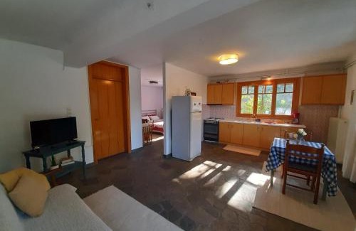 Aria Apartamento | Σπίτι σε ελαιώνα, house in an olive grove