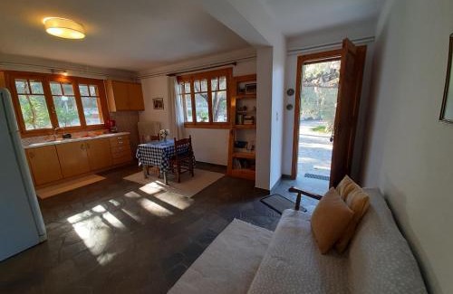 Aria Apartamento | Σπίτι σε ελαιώνα, house in an olive grove