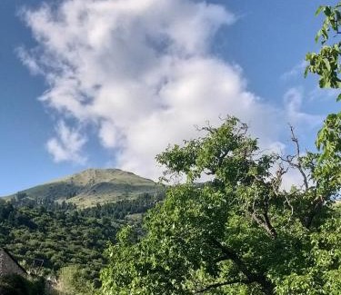 Karpenisi Apartamento | Το Σπίτι της Ευτυχίας Σουίτα