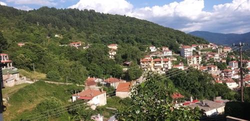Karpenisi Apartamento | Το Σπίτι της Ευτυχίας Σουίτα