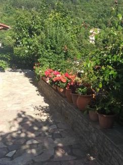 Karpenisi Apartamento | Το Σπίτι της Ευτυχίας Σουίτα