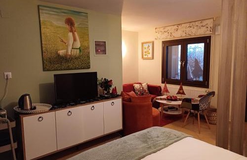 Karpenisi Apartamento | Το Σπίτι Της Ευτυχίας στούντιο
