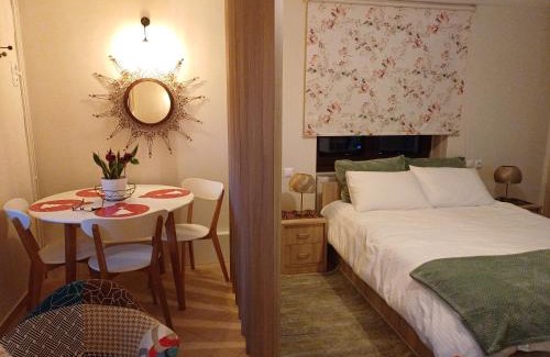 Karpenisi Apartamento | Το Σπίτι Της Ευτυχίας στούντιο