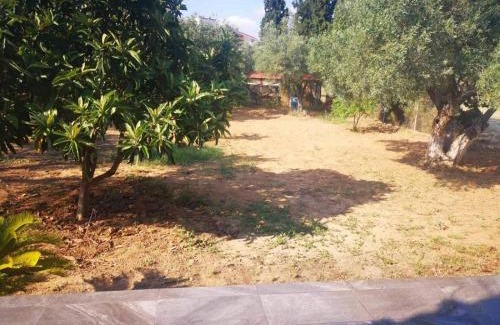 Chalcis Apartamento | Χαλκιδα Δροσια μονοκατοικια