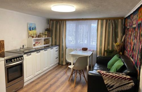 Snidavka Casa | Автентичний Лофт Апартамент в Карпатах