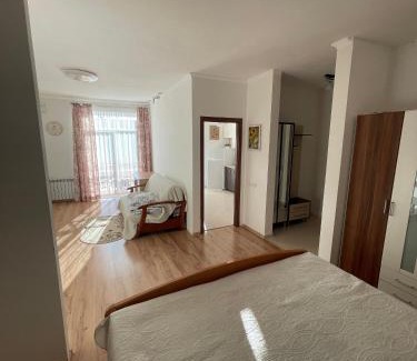 Truskavets Apartamento | Апартаменти з балконом студія без окремої спальні
