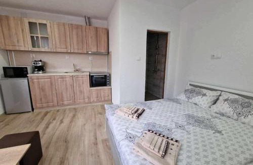 Banya Apartamento | Апартаменти село Баня