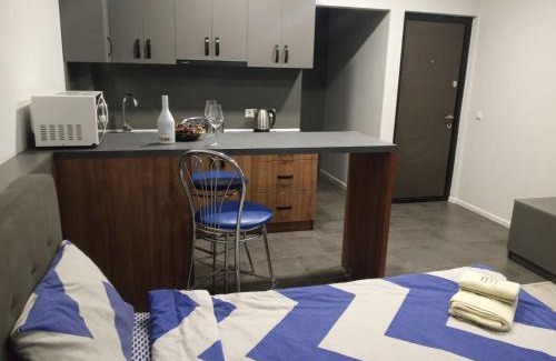 Uzhhorod Apartamento | АпартаментиTrembita