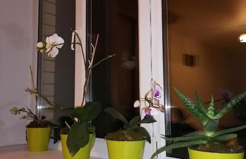 Bogdanikha Apartamento | Апартаменты ЖК Олимпийский