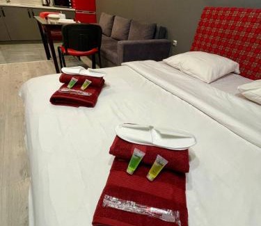 Uzhhorod Apartamento | Апартаменты Yes Silver