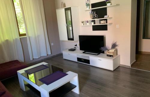 Pleven Apartamento | Апартамент ЕЛИ